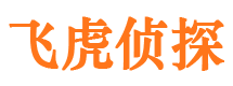 东西湖市婚外情调查